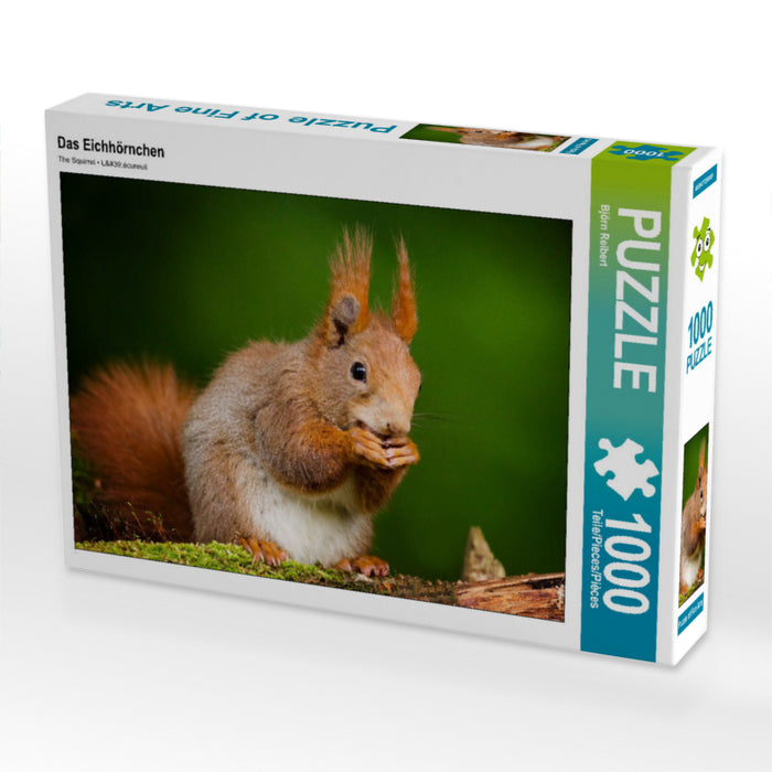 The Squirrel - CALVENDO photo puzzle 