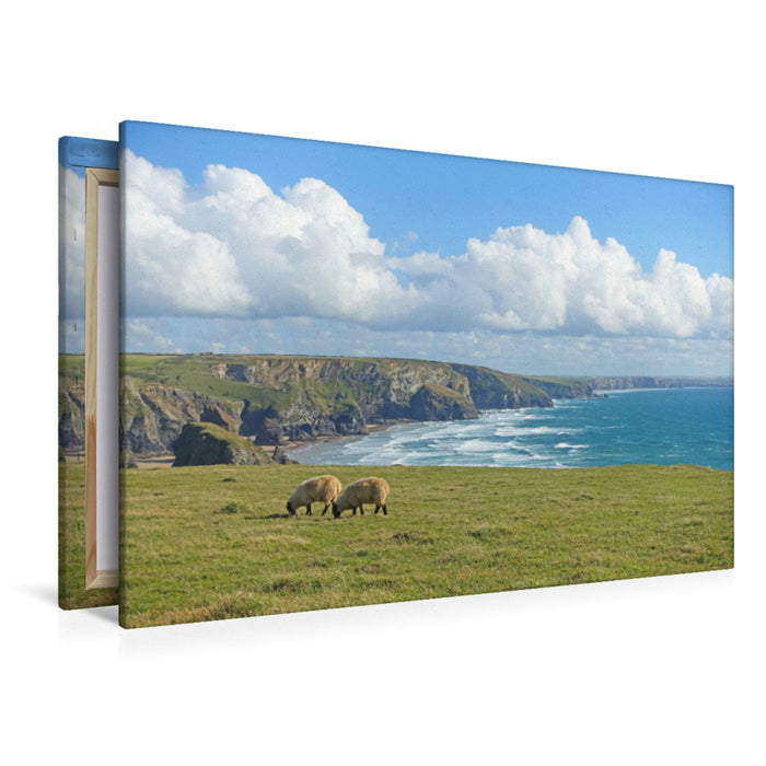 Toile textile haut de gamme Toile textile haut de gamme 120 cm x 80 cm paysage Deux moutons paissant devant un décor côtier spectaculaire 