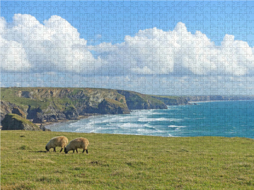 Zwei grasende Schafe vor einer dramatischer Küstenkulisse - CALVENDO Foto-Puzzle - calvendoverlag 29.99