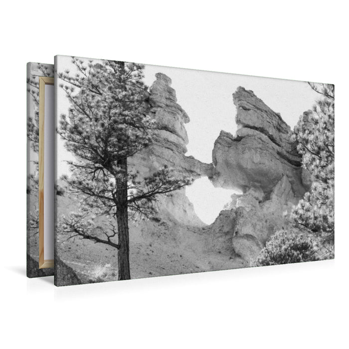 Premium Textil-Leinwand Premium Textil-Leinwand 120 cm x 80 cm quer Bryce Canyon National Park