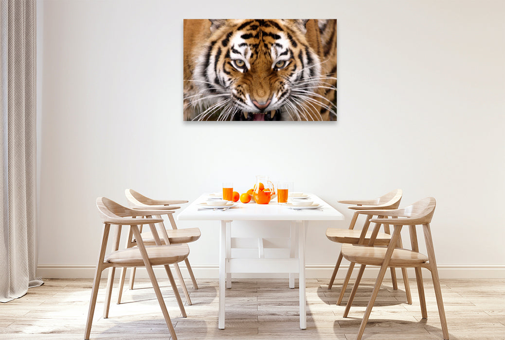 Premium Textil-Leinwand Premium Textil-Leinwand 120 cm x 80 cm quer Tiger