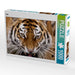 Tiger - CALVENDO Foto-Puzzle - calvendoverlag 29.99