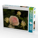 Zauberhafte Rosen - CALVENDO Foto-Puzzle - calvendoverlag 29.99