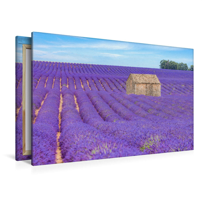 Premium Textil-Leinwand Premium Textil-Leinwand 120 cm x 80 cm quer Ein Motiv aus dem Kalender Provence, Lavendelzeit in Südfrankreich