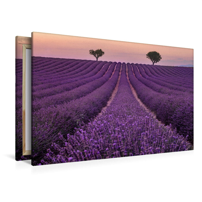 Premium Textil-Leinwand Premium Textil-Leinwand 120 cm x 80 cm quer Ein Motiv aus dem Kalender Provence, der sinnliche Süden Frankreichs