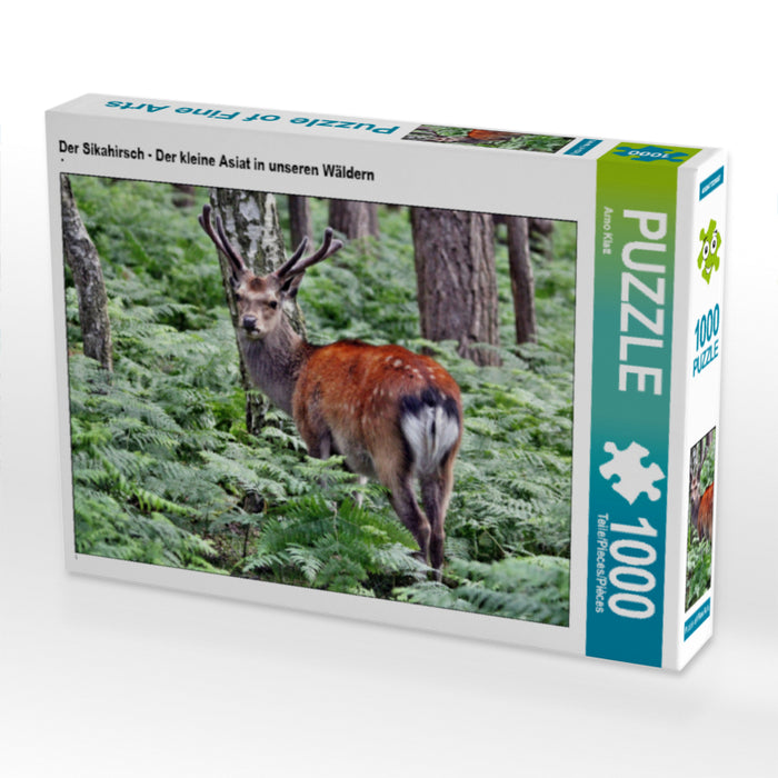 Der Sikahirsch - Der kleine Asiat in unseren Wäldern - CALVENDO Foto-Puzzle - calvendoverlag 29.99