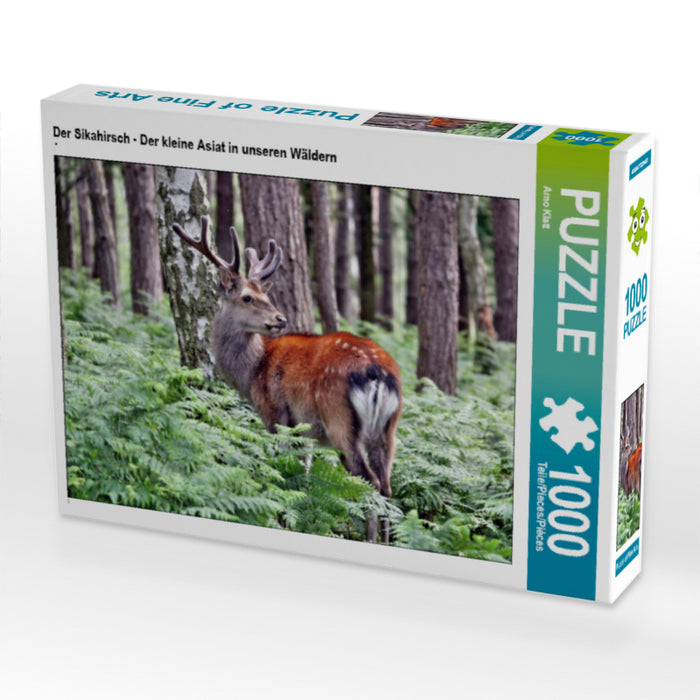 Der Sikahirsch - Der kleine Asiat in unseren Wäldern - CALVENDO Foto-Puzzle - calvendoverlag 29.99