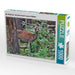 Der Sikahirsch - Der kleine Asiat in unseren Wäldern - CALVENDO Foto-Puzzle - calvendoverlag 29.99