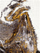 Weißkopfadler - CALVENDO Foto-Puzzle - calvendoverlag 29.99