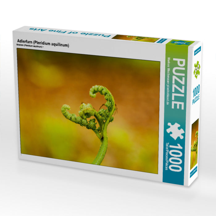 Adlerfarn (Pteridium aquilinum) - CALVENDO Foto-Puzzle - calvendoverlag 29.99