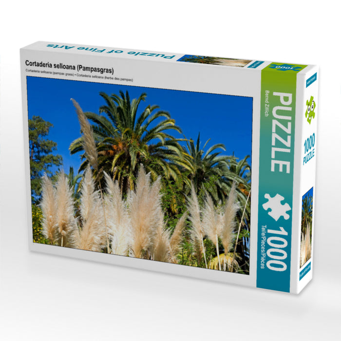 Cortaderia selloana (pampas grass) - CALVENDO photo puzzle 