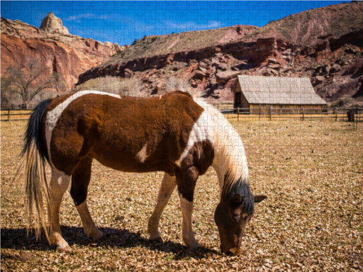 Capitol Reef NP - CALVENDO Foto-Puzzle - calvendoverlag 29.99