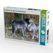 Der Timberwolf - Der Jäger aus den Rocky Mountains - CALVENDO Foto-Puzzle - calvendoverlag 29.99