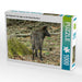 Der Timberwolf - Der Jäger aus den Rocky Mountains - CALVENDO Foto-Puzzle - calvendoverlag 29.99