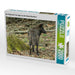 Der Timberwolf - Der Jäger aus den Rocky Mountains - CALVENDO Foto-Puzzle - calvendoverlag 29.99