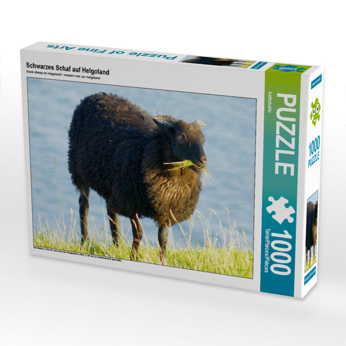 Schwarzes Schaf auf Helgoland - CALVENDO Foto-Puzzle - calvendoverlag 29.99