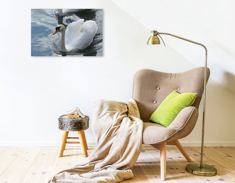 Toile textile premium Toile textile premium 75 cm x 50 cm paysage Cygne tuberculé sur le Danube 