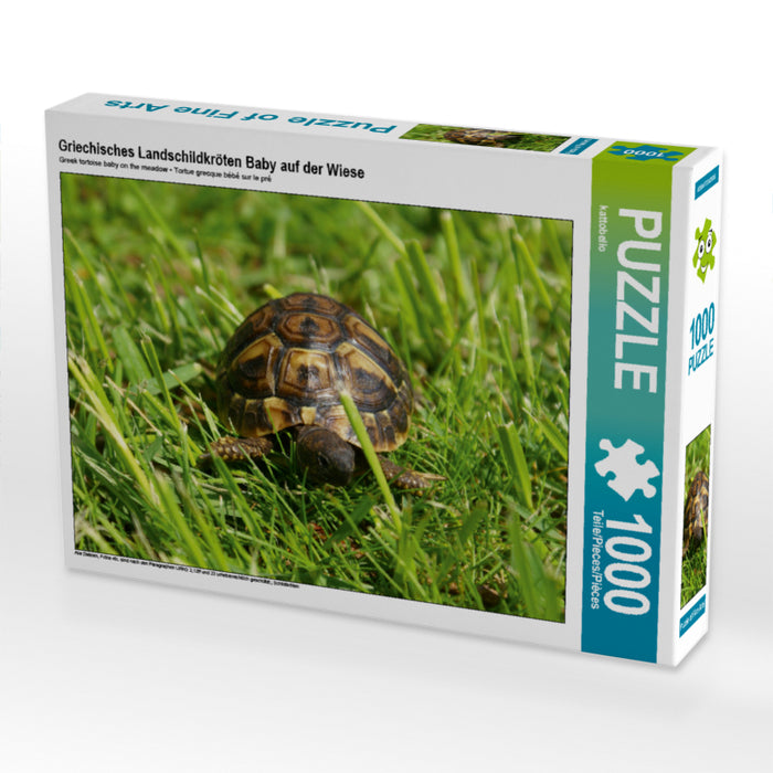 Griechisches Landschildkröten Baby auf der Wiese - CALVENDO Foto-Puzzle - calvendoverlag 29.99