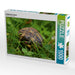 Schildkröten Dinner - CALVENDO Foto-Puzzle - calvendoverlag 29.99