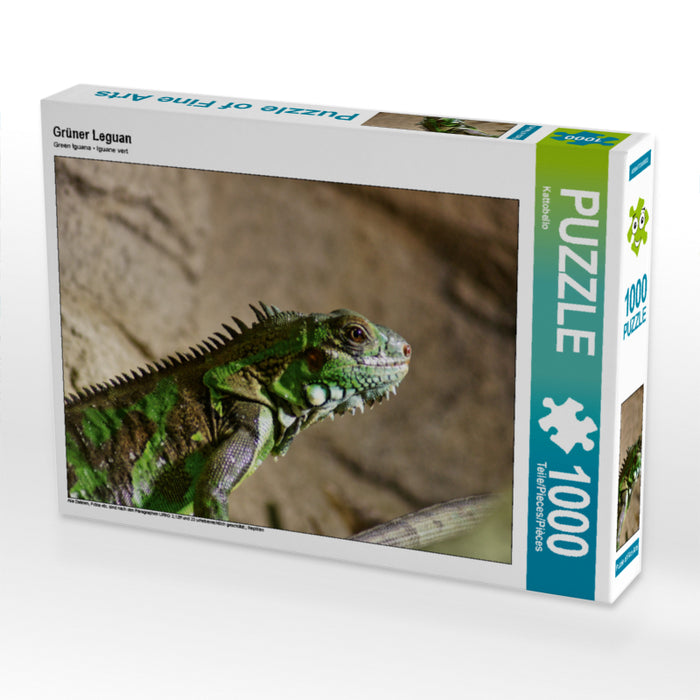 Grüner Leguan - CALVENDO Foto-Puzzle - calvendoverlag 29.99