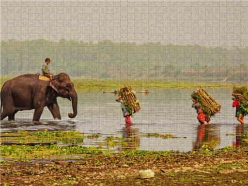 Abendliche Heimkehr im Chitwan Nationalpark - CALVENDO Foto-Puzzle - calvendoverlag 29.99