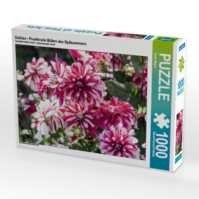 Dahlien - Prachtvolle Blüten des Spätsommers - CALVENDO Foto-Puzzle - calvendoverlag 29.99