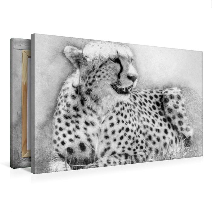 Premium Textil-Leinwand Premium Textil-Leinwand 75 cm x 50 cm quer Der Gepard