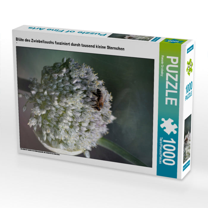 Blüte des Zwiebellauchs fasziniert durch tausend kleine Sternchen - CALVENDO Foto-Puzzle - calvendoverlag 29.99