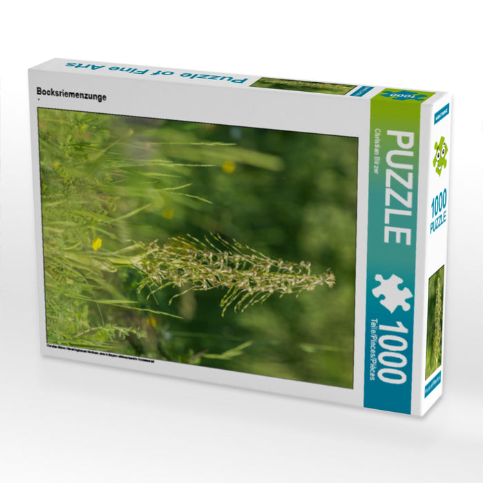 Bocksriemenzunge - CALVENDO Foto-Puzzle - calvendoverlag 29.99