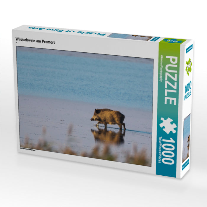 Wildschwein am Pramort - CALVENDO Foto-Puzzle - calvendoverlag 29.99