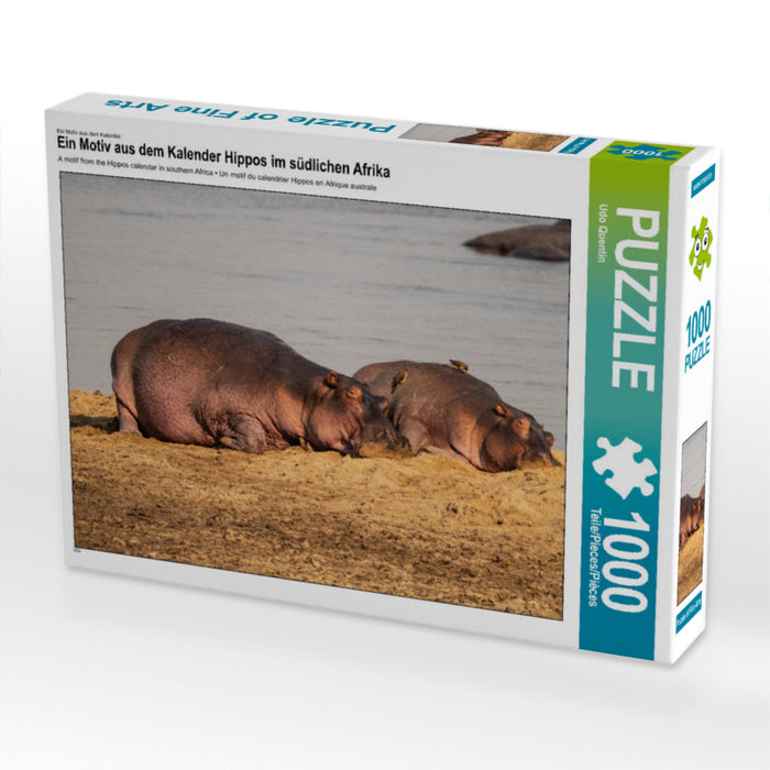 Hippopotames en Afrique australe - Puzzle photo CALVENDO 