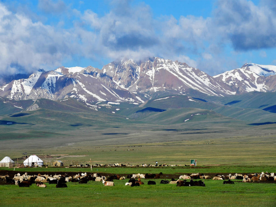 Pâturage d'été, Song Kul, Kirghizistan - Puzzle photo CALVENDO 