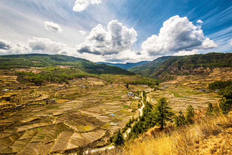 Premium Textil-Leinwand Premium Textil-Leinwand 120 cm x 80 cm quer Harmonisches Landschaftsbild mit Reisfelder in Bhutan, Himalaya, Asien