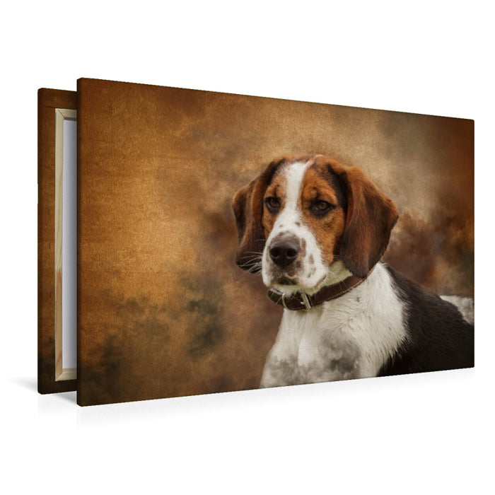 Premium textile canvas Premium textile canvas 120 cm x 80 cm landscape English Beagle 