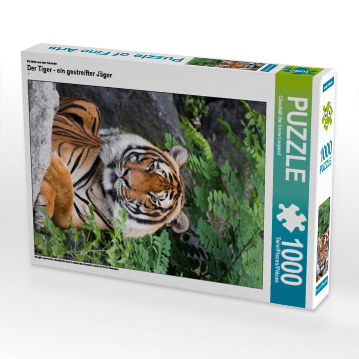 Der Tiger - ein gestreifter Jäger - CALVENDO Foto-Puzzle - calvendoverlag 29.99