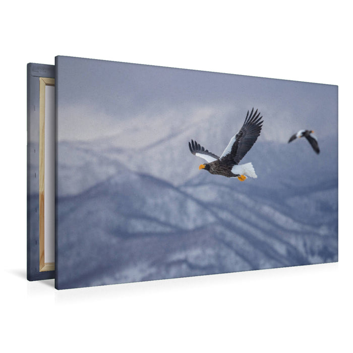 Premium textile canvas Premium textile canvas 120 cm x 80 cm landscape giant sea eagle 