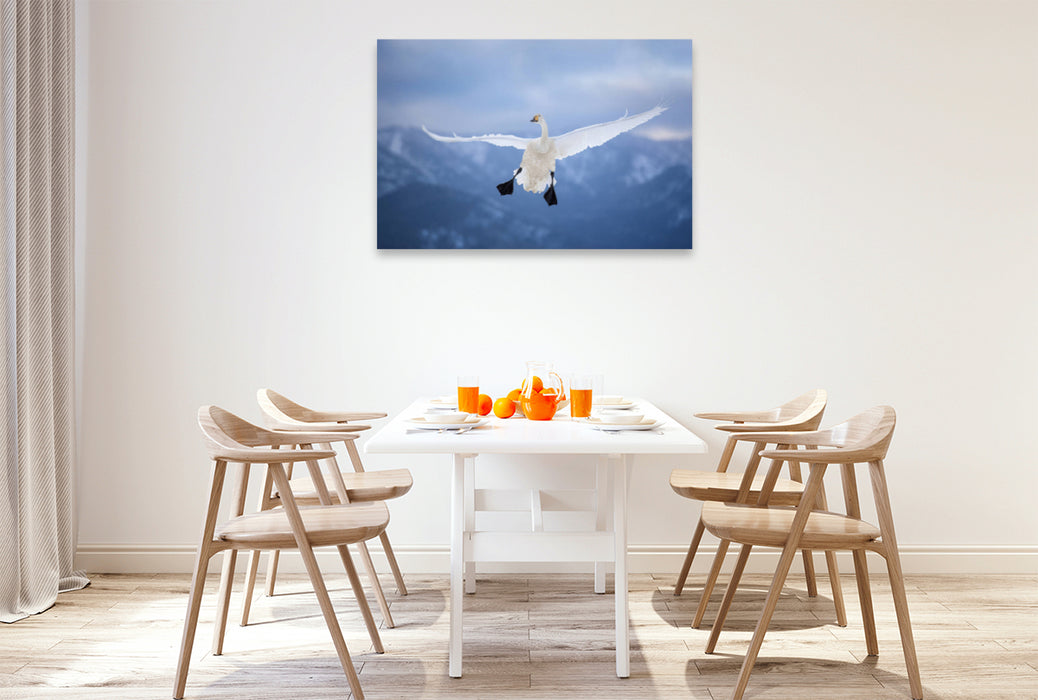 Premium textile canvas Premium textile canvas 120 cm x 80 cm landscape whooper swan 