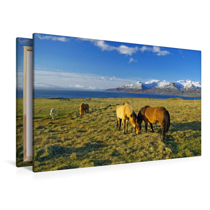 Premium textile canvas Premium textile canvas 120 cm x 80 cm landscape Wide pastureland near Akureyri 