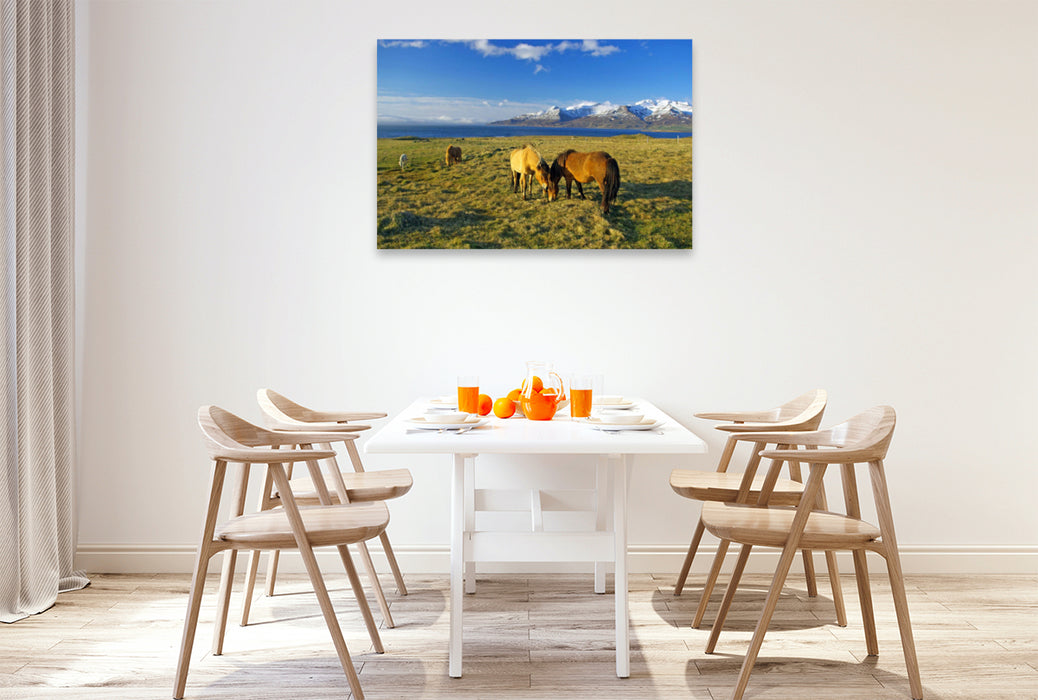 Premium textile canvas Premium textile canvas 120 cm x 80 cm landscape Wide pastureland near Akureyri 