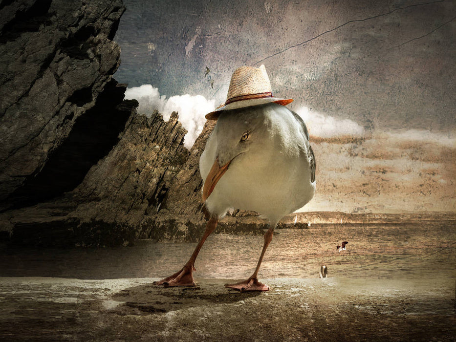 Oiseau bizarre - Puzzle photo CALVENDO 