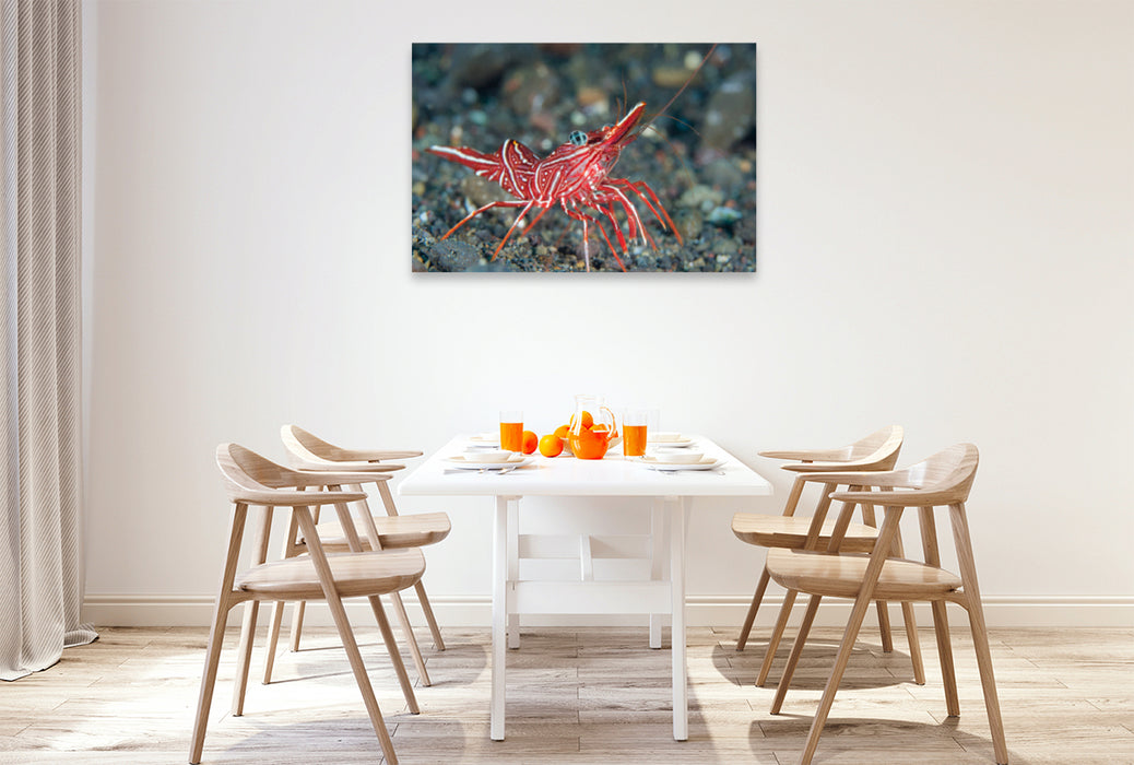 Premium textile canvas Premium textile canvas 120 cm x 80 cm landscape dancing shrimp 