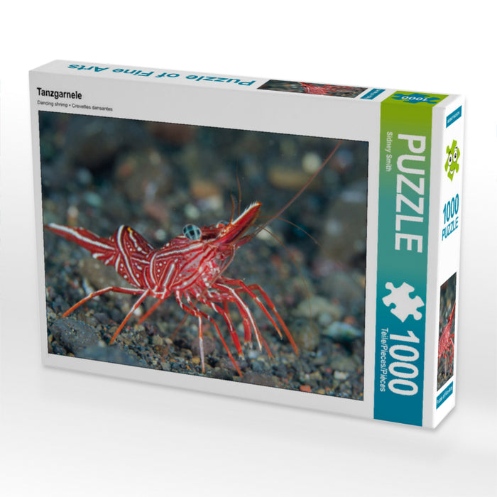 Crevettes dansantes - Puzzle photo CALVENDO 