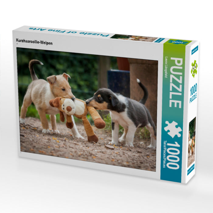 Kurzhaarcollie-Welpen - CALVENDO Foto-Puzzle - calvendoverlag 29.99