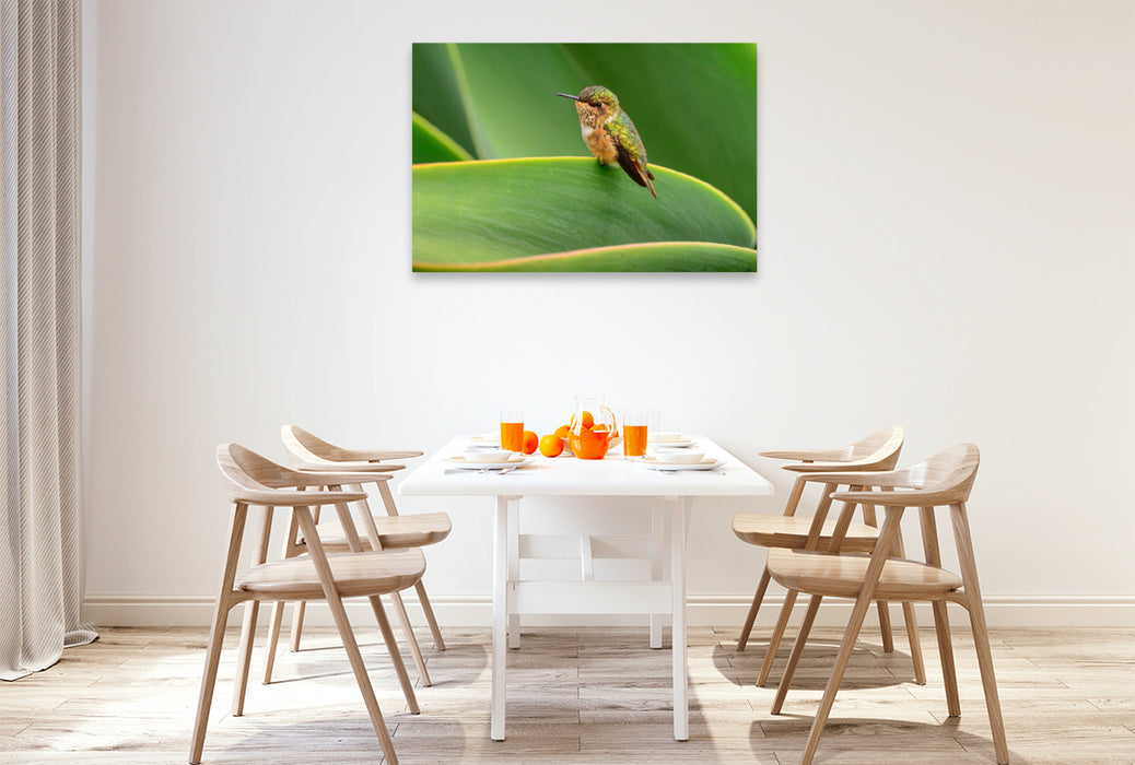 Premium textile canvas Premium textile canvas 120 cm x 80 cm landscape Volcanic elf sitting on a leaf, Costa Rica 