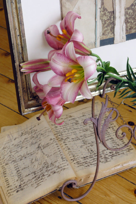 Premium Textil-Leinwand Premium Textil-Leinwand 50 cm x 75 cm hoch Lilienblüten mit Buch