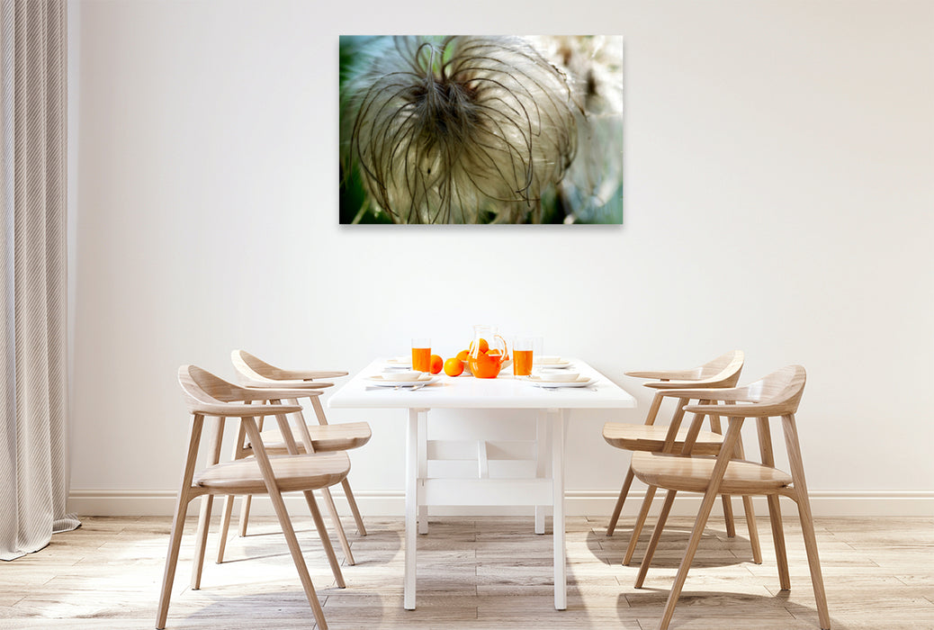 Premium textile canvas Premium textile canvas 120 cm x 80 cm landscape Delicate, fluffy clematis. 