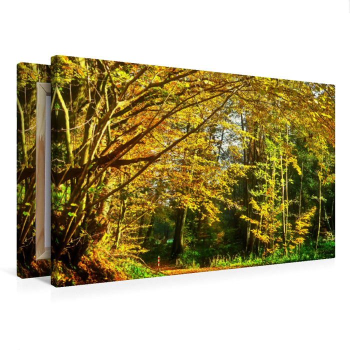 Premium Textil-Leinwand Premium Textil-Leinwand 75 cm x 50 cm quer Herbstweg entlang der Nieste