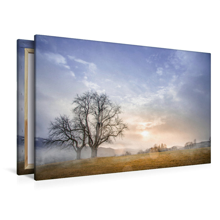 Premium Textil-Leinwand Premium Textil-Leinwand 120 cm x 80 cm quer Landschaft im Nebel