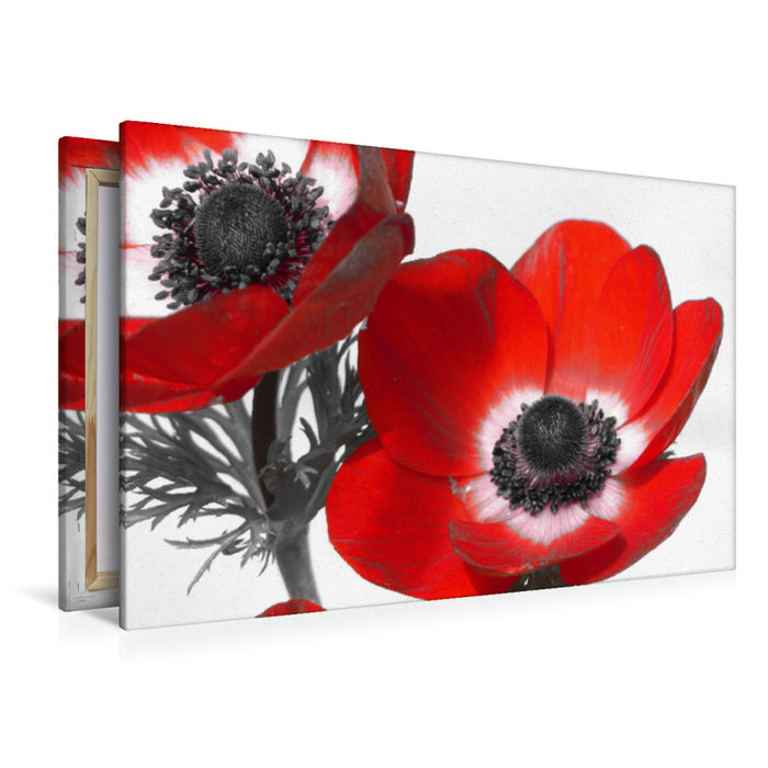 Premium textile canvas Premium textile canvas 120 cm x 80 cm landscape anemones 