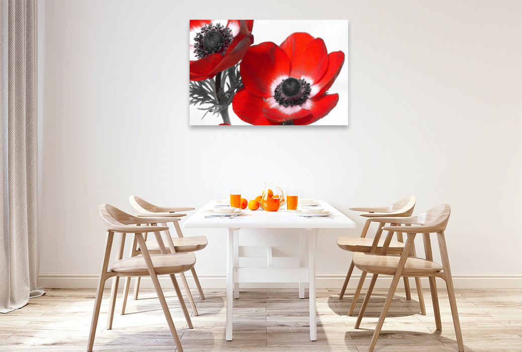 Premium textile canvas Premium textile canvas 120 cm x 80 cm landscape anemones 